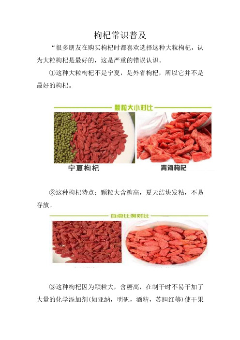 枸杞常识普及