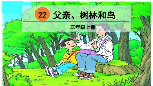 部编人教版三年级语文上册第22课《父亲、树林和鸟》精品PPT课件