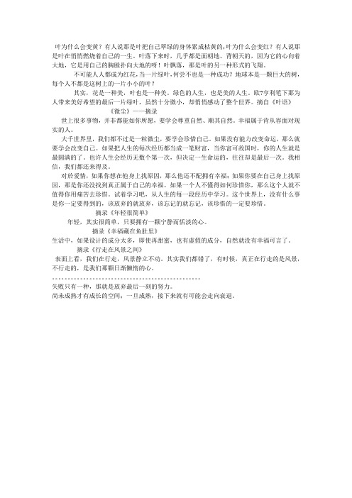 思维与智慧好句摘录