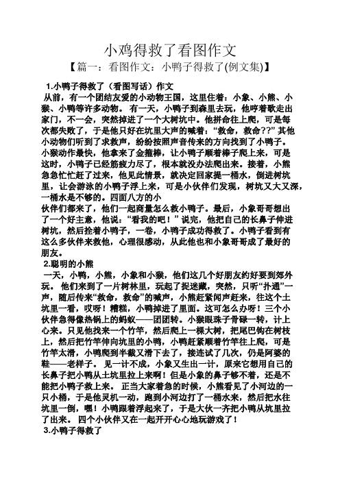 鸡作文之小鸡得救了看图作文
