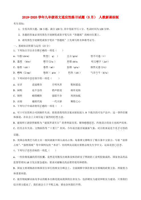 2019-2020学年九年级语文适应性练习试题(5月) 人教新课标版