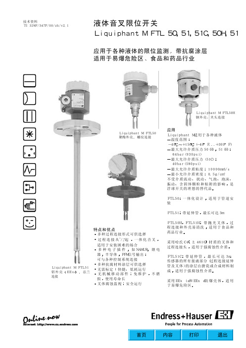 E+H音叉液位开关