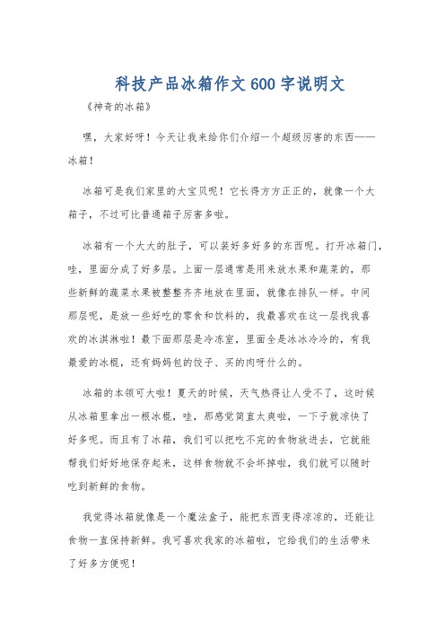 科技产品冰箱作文600字说明文