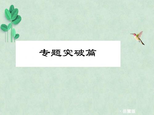 中考历史复习课件——专题突破 岳麓版