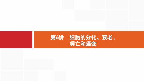 高考生物二轮专题：3.6《细胞的分化、衰老、凋亡和癌变》ppt课件