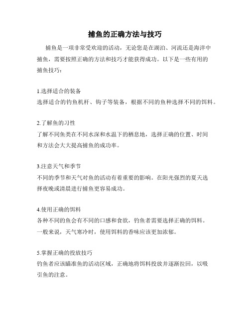 捕鱼的正确方法与技巧