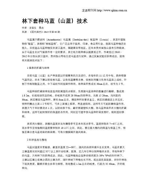 林下套种马蓝(山蓝)技术