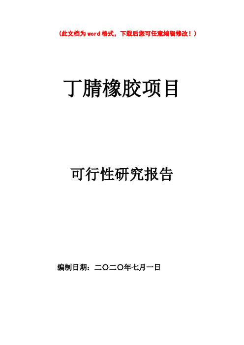 【精编完整版】丁腈橡胶可研报告