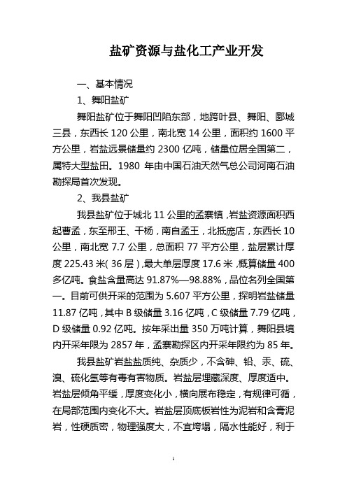 盐矿资源与盐化工产业开发