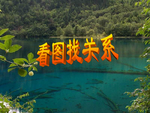 小学数学《看图找关系》