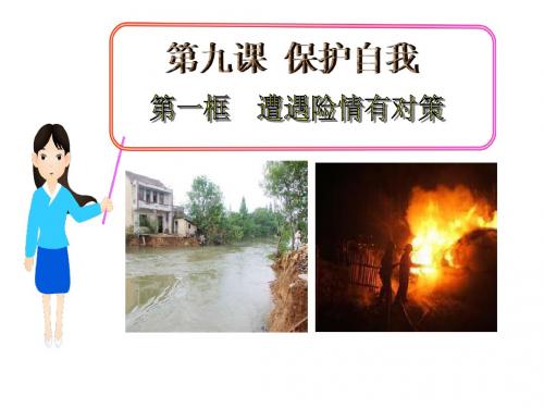 遭遇险情与对策PPT
