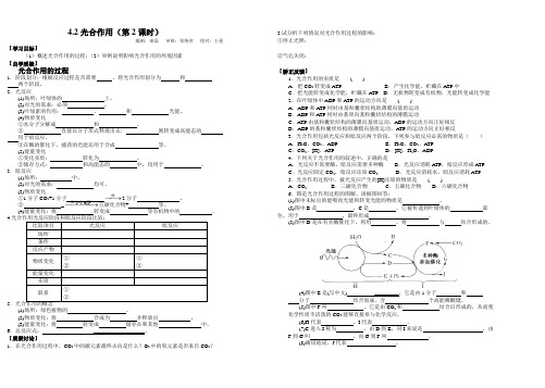 4.2光合作用(第2课时)