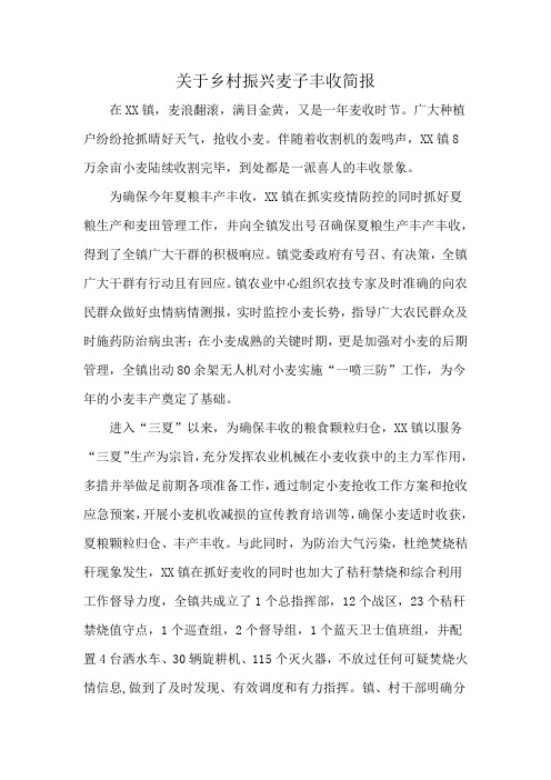 关于乡村振兴麦子丰收简报