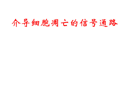 细胞凋亡的信号通路.
