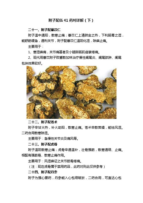 附子配伍41药对详解（下）