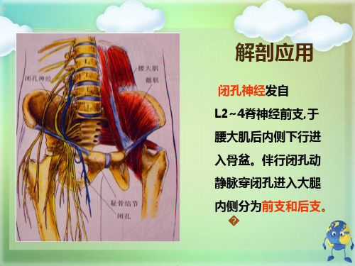 闭孔神经阻滞