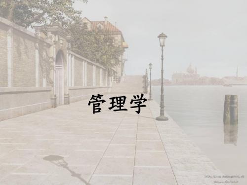 管理学 11.组织1  ppt