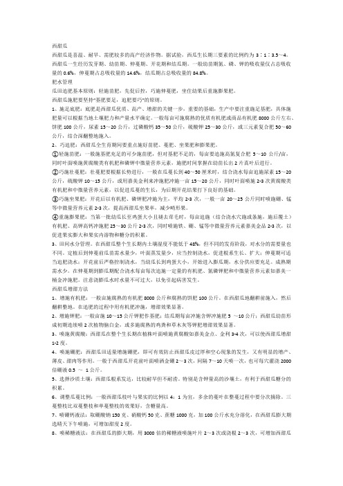 西甜瓜