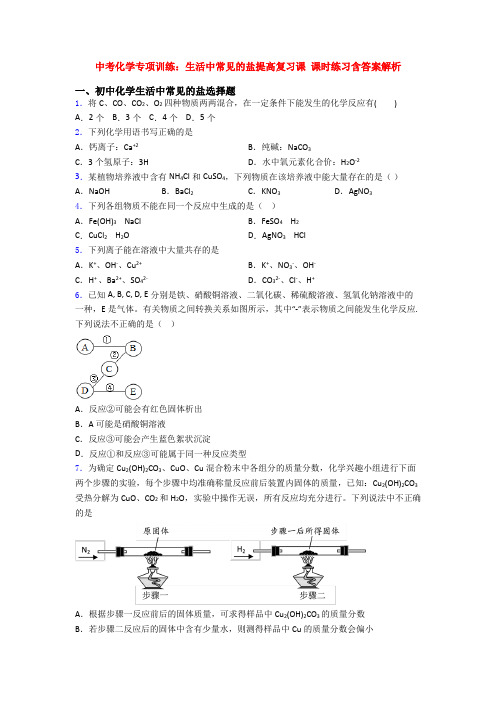 中考化学专项训练：生活中常见的盐提高复习课 课时练习含答案解析