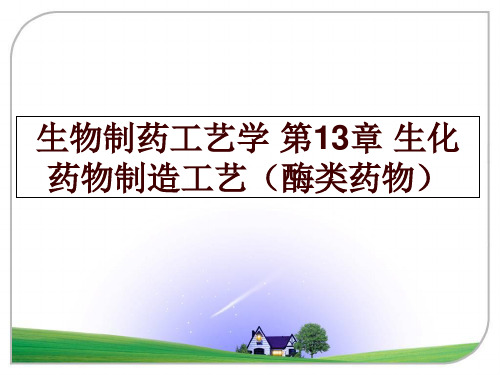 生物制药工艺学 第13章 生化药物制造工艺(酶类药物讲学课件