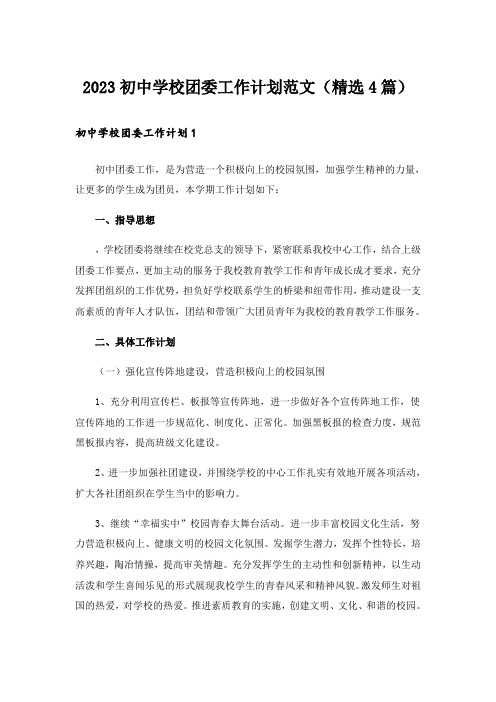 2023初中学校团委工作计划范文(精选4篇)