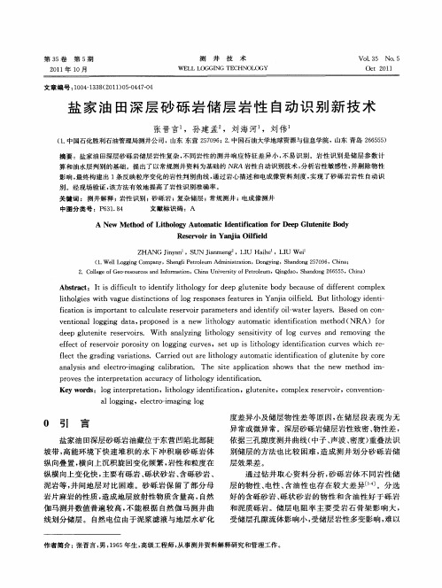 盐家油田深层砂砾岩储层岩性自动识别新技术