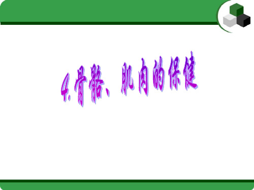 《4. 骨骼、肌肉的保健》2PPT课件