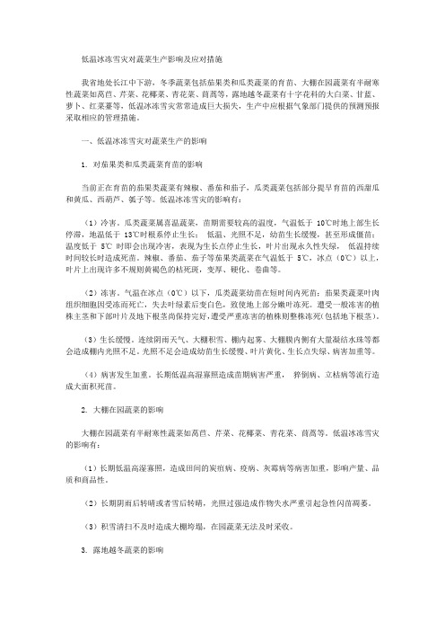 低温冰冻雪灾对蔬菜生产影响及应对措施