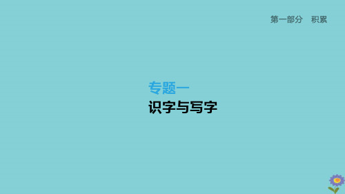 (柳州专版)2020版中考语文夺分复习第一部分积累专题01识字与写字课件