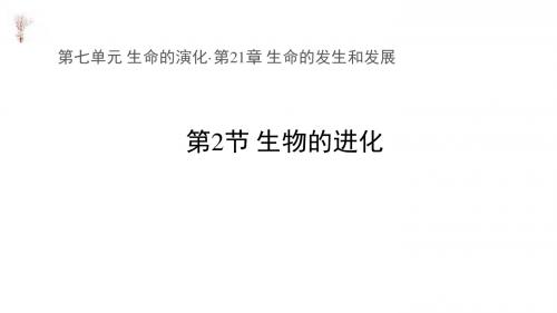 八年级下册生物课件-7.21.2《生物的进化》 北师大版