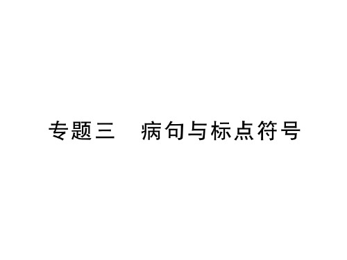 秋语文版九年级语文上册习题课件：专题三 病句与标点符号 (共32张PPT)