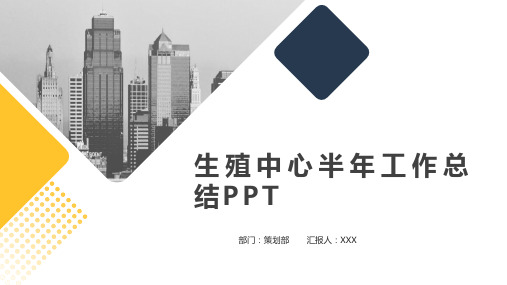 生殖中心半年工作总结PPT
