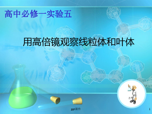 高中必修一实验五--用高倍镜观察线粒体和叶绿体  ppt课件