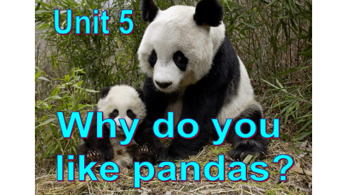 人教新目标版七年级下册Unit 5 Why do you like pandasPeriod 1(共32张PPT)