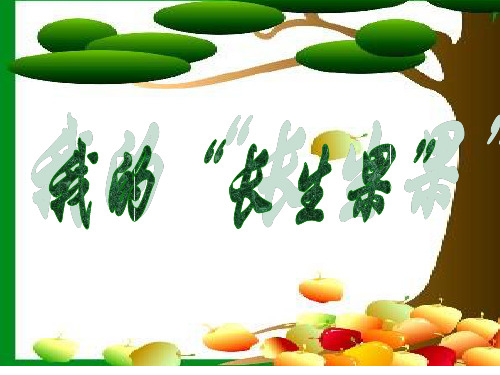 4.《我的“长生果”》PPT课件.ppt