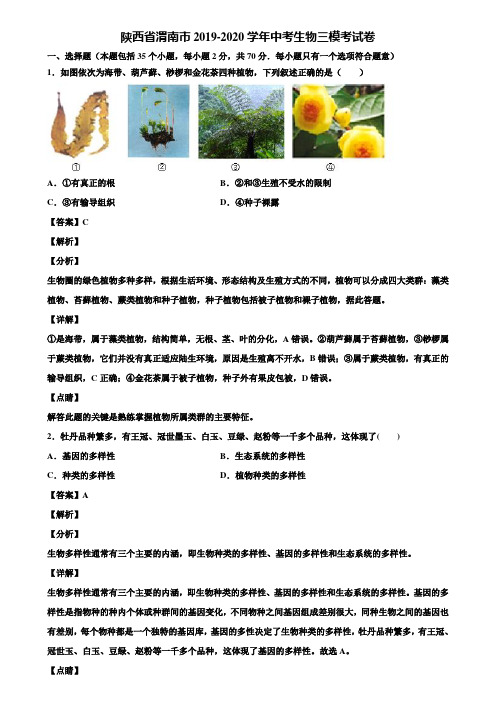 陕西省渭南市2019-2020学年中考生物三模考试卷含解析