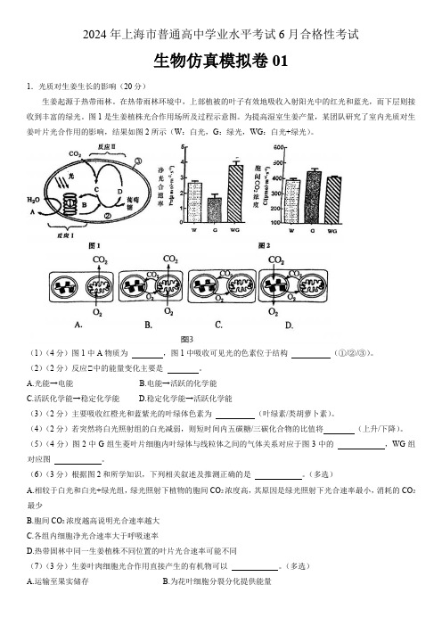 2024年上海市普通高中学业水平考试6月合格性考试生物仿真模拟卷01含详解