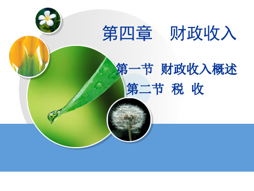 财政学PPT