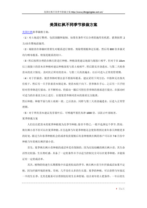 美国红枫不同季节移栽方案