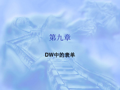 第九章 DW中的表单