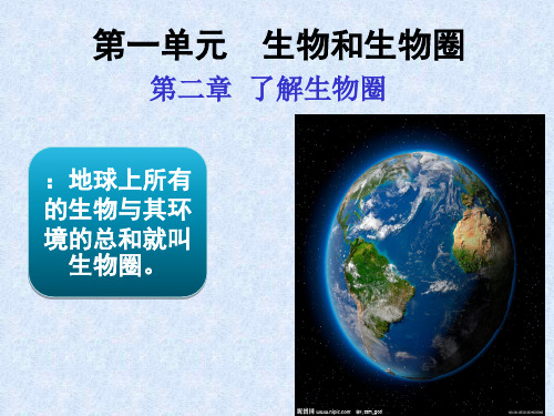 新人教版七年级生物上册 第一单元 第二章 第一节 生物与环境的关系PPT课件
