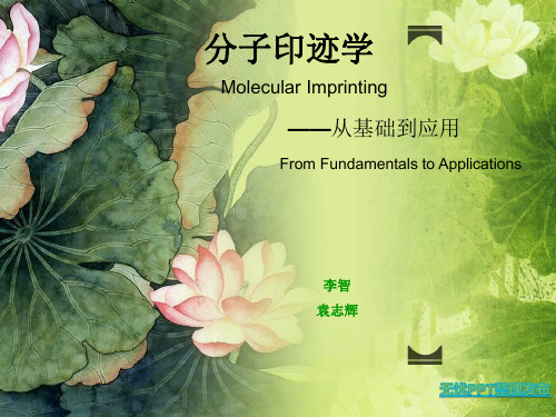 分子印迹技术原理、应用及前景展望(原创、整理)