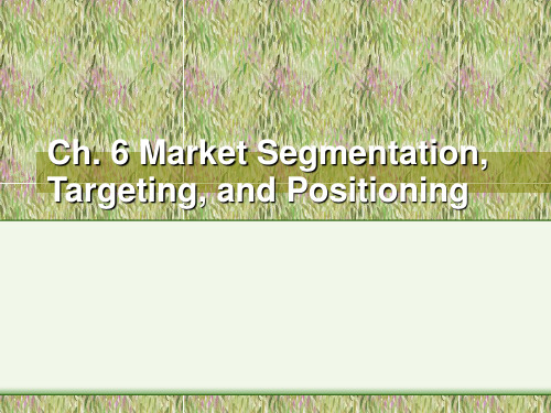 PM--Chapter06Market Segmentation, Targeting, and Positioning(营销原理)