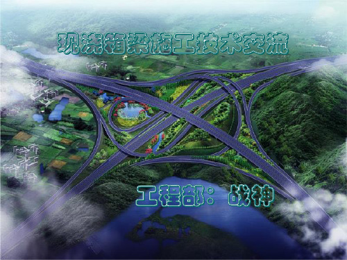 广东省某高速公路现浇连续箱梁施工技术详解