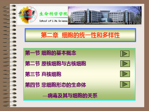 细胞生物学,翟中和,第三版--第二章