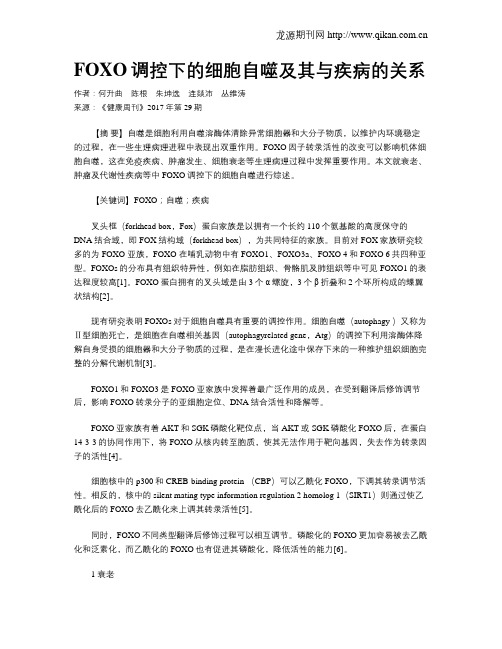 FOXO调控下的细胞自噬及其与疾病的关系