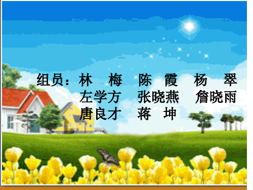2009年国家的宏观政策