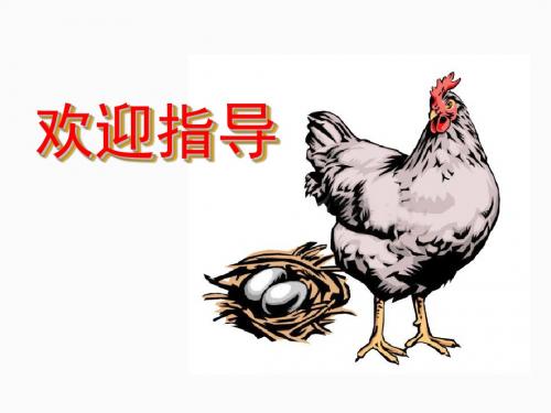 24-母鸡