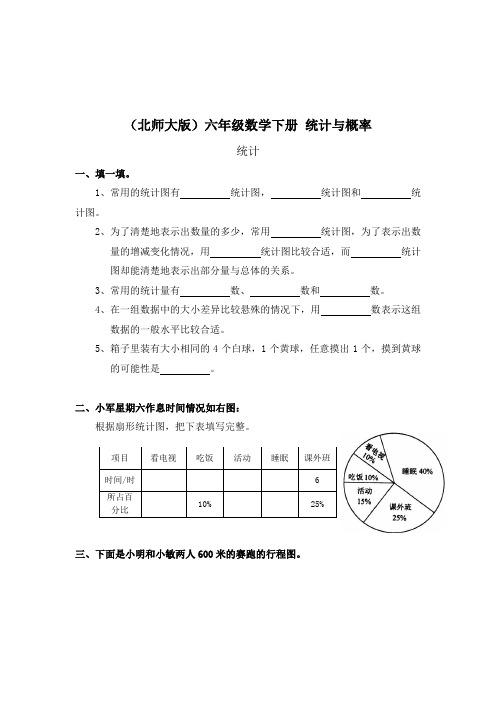 2020年北师大版六年级下册《统计与概率——统计》word练习题