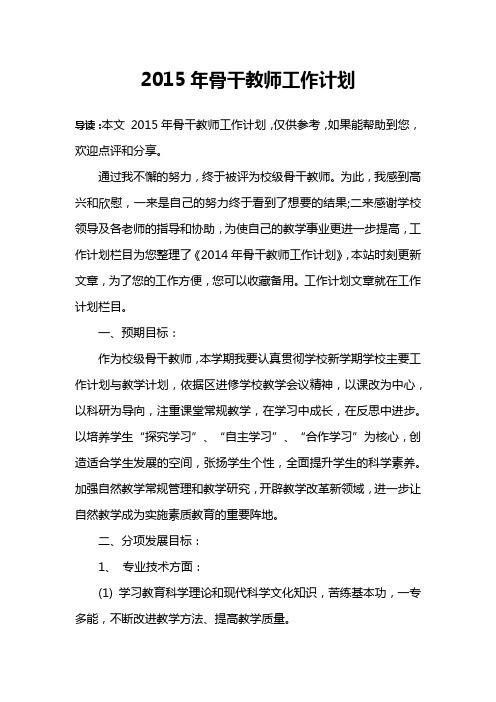 2015年骨干教师工作计划